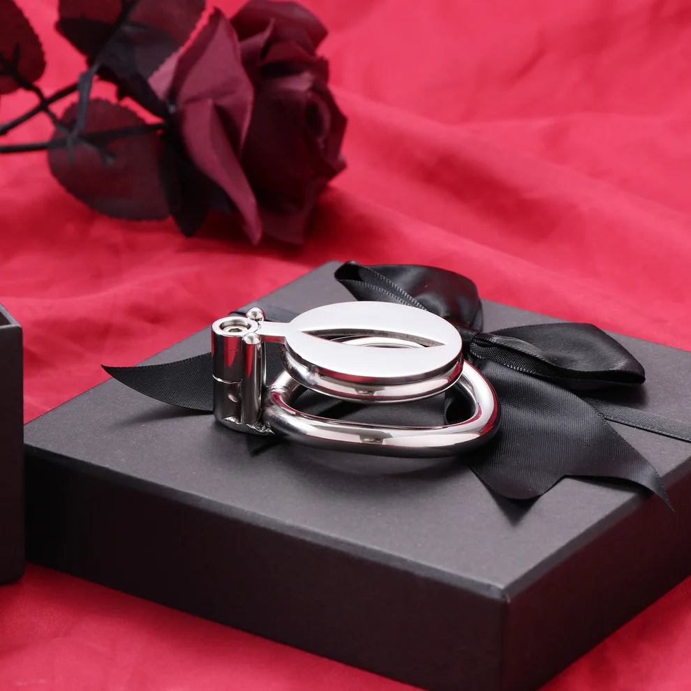 Flat Steel Pussy Chastity Cage