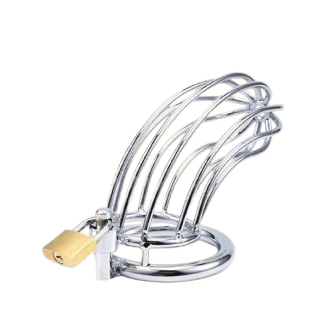 Metal chastity cage with a gold lock on a white background