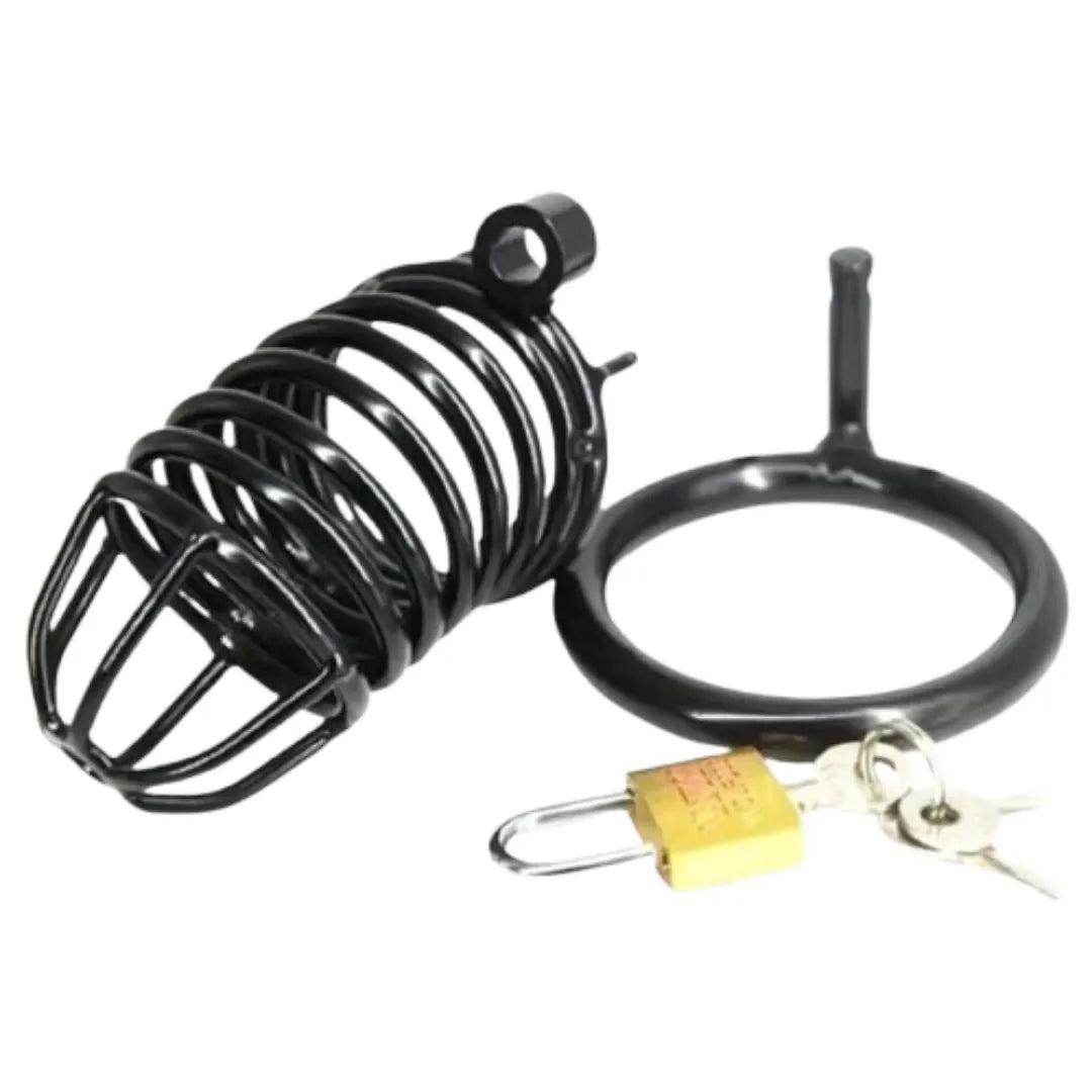Black metal cage with a gold padlock and keys on a white background