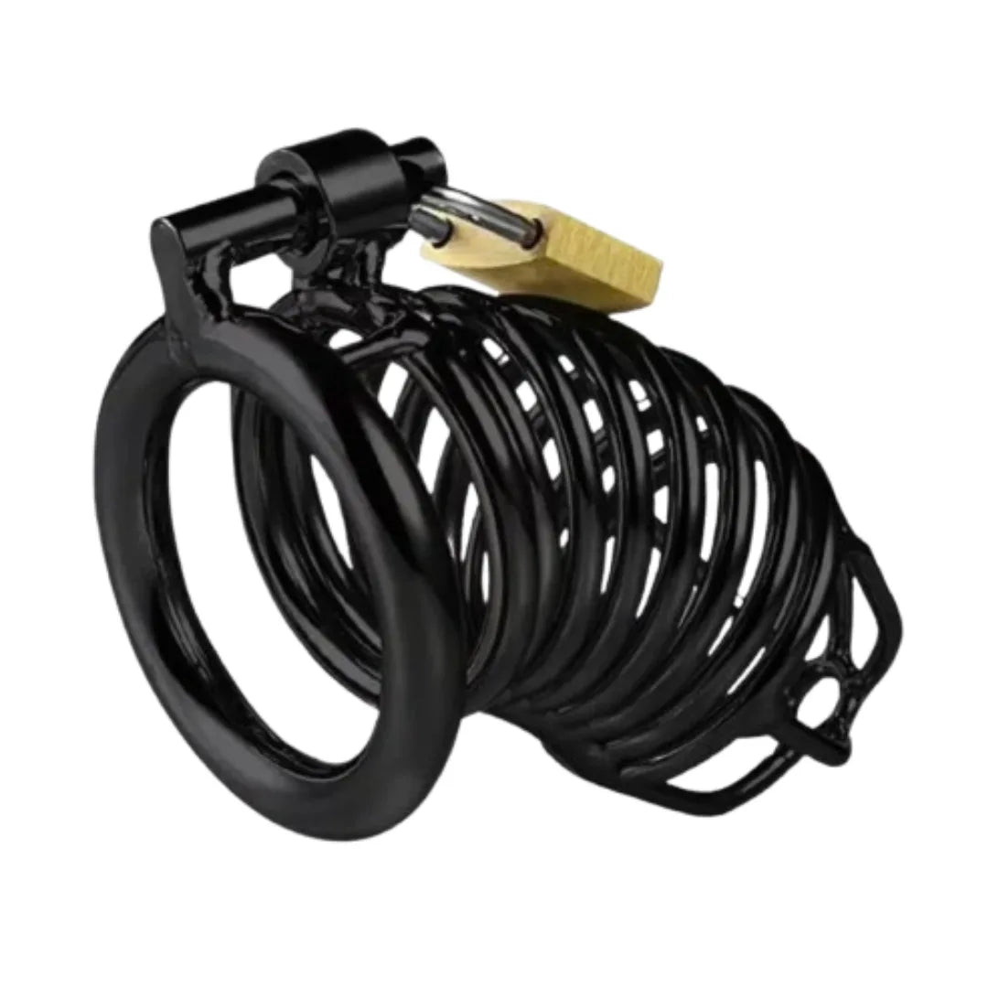 Black cage with a gold padlock on a white background