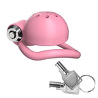 Birdcage Punishment Chastity Gear