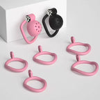 Birdcage Punishment Chastity Gear