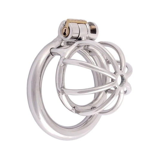 Small Stainless Steel Metal Chastity Cage