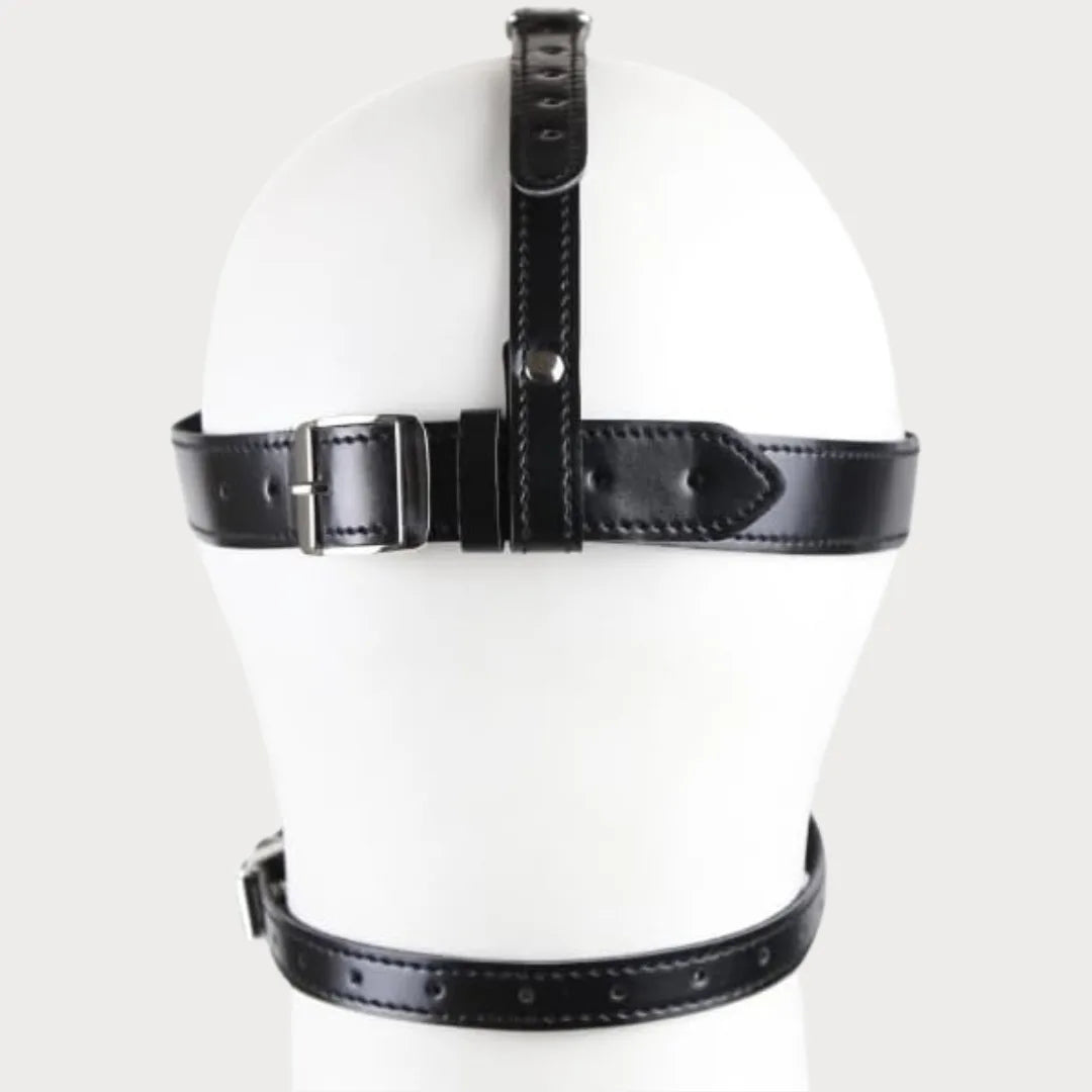 Blindfold Harness & Ball Gag Leather Restraints