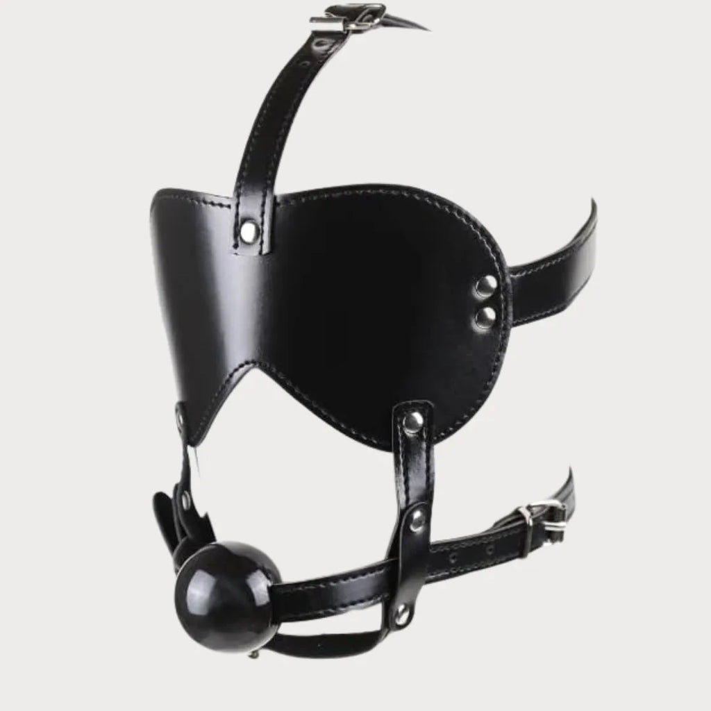 Blindfold Harness & Ball Gag Leather Restraints